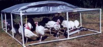 Pastured Poultry Pen